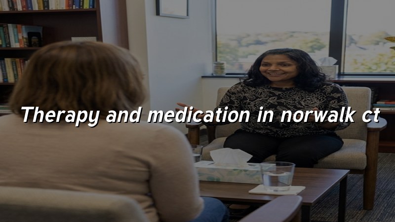 Adult psychiatric care visit for therapy and medication support